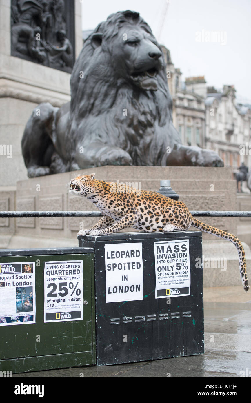 Nat Geo WILD unveils the world’s first hyper realistic animatronic leopard to mark the launch of Big Cat Week (6-12 March), in association with charity the Big Cats Initiative.  Featuring: Leopard Where: London, United Kingdom When: 08 Mar 2017 Stock Photo