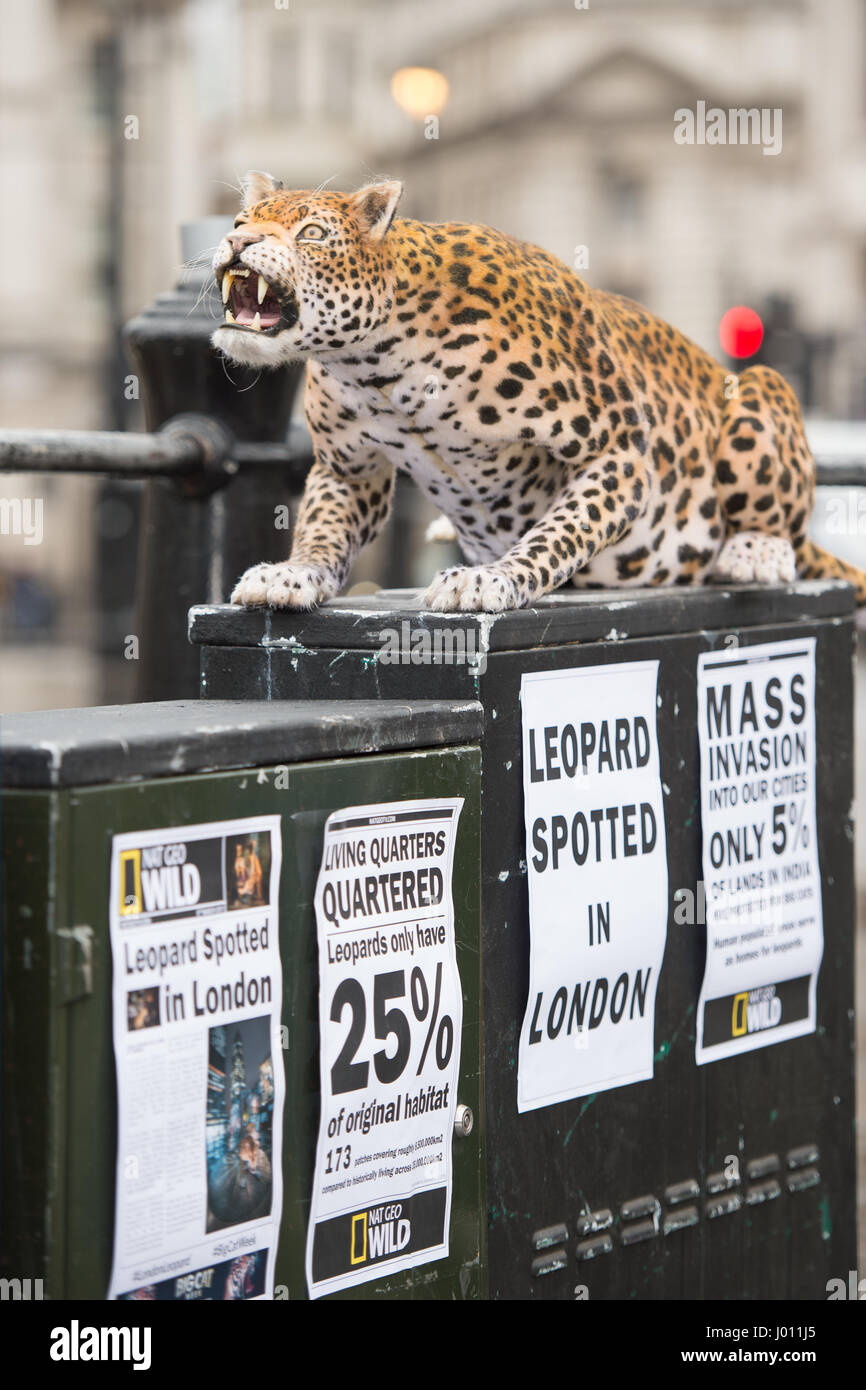 Nat Geo WILD unveils the world’s first hyper realistic animatronic leopard to mark the launch of Big Cat Week (6-12 March), in association with charity the Big Cats Initiative.  Featuring: Leopard Where: London, United Kingdom When: 08 Mar 2017 Stock Photo