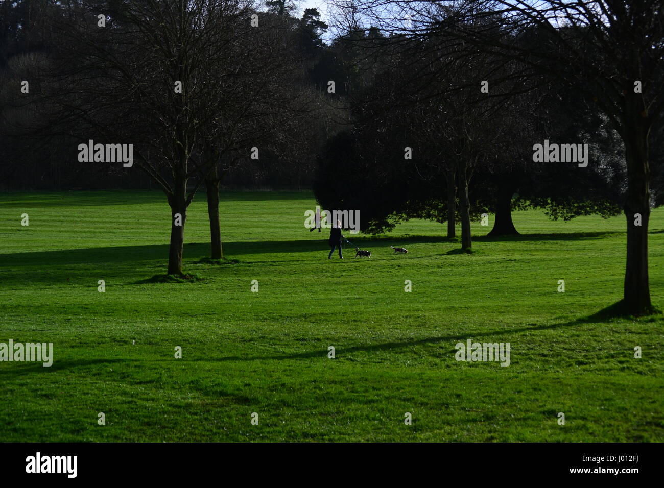 Blaise Castle Park in Bristol Stock Photo Alamy