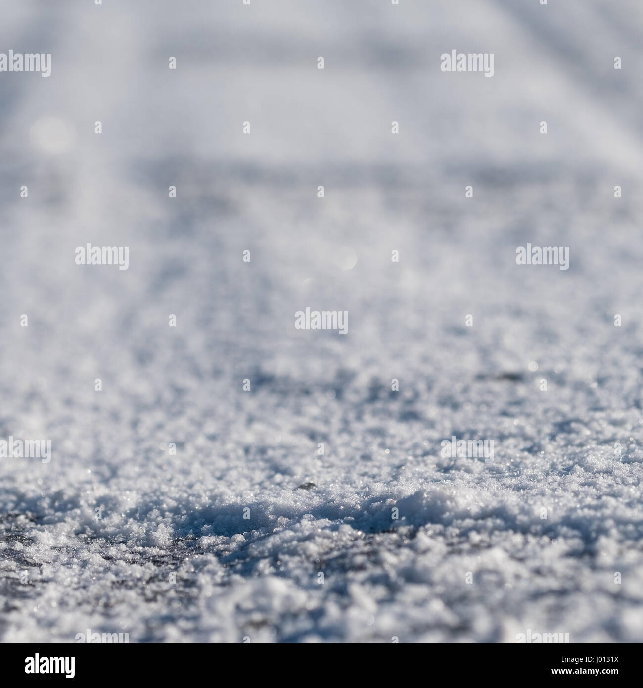 Snow Square Format Snow and ice in backlit in square format Stock Photo - Alamy