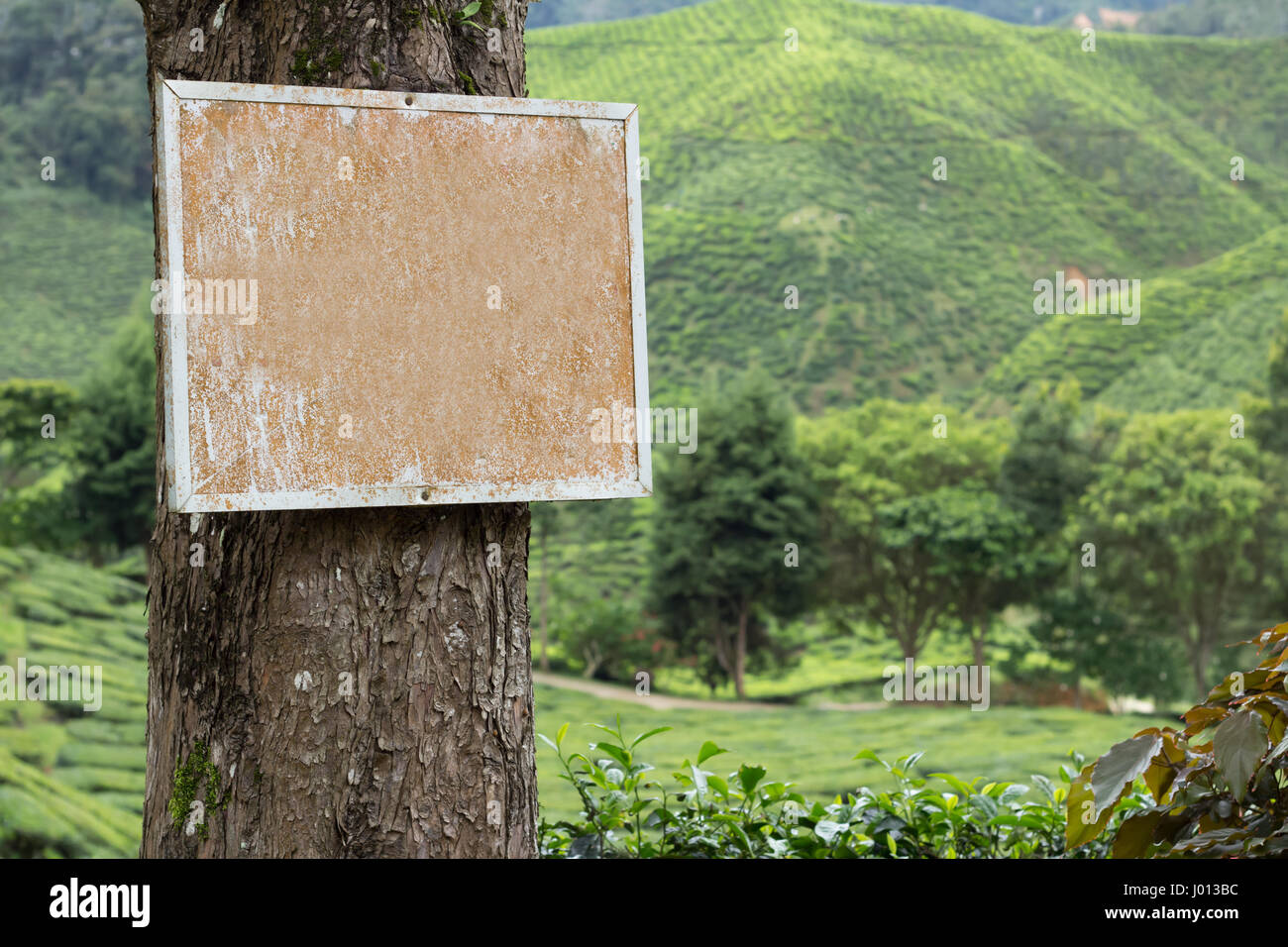 blank signboard in nature Stock Photo