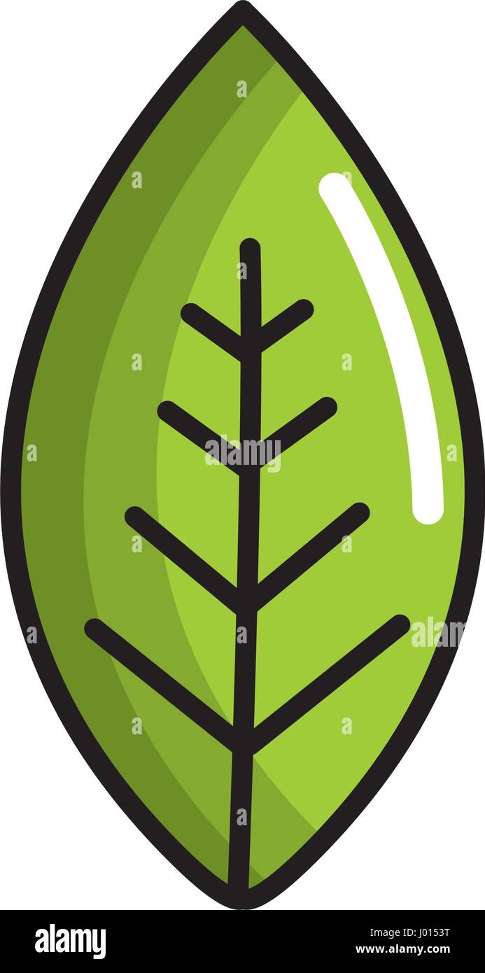 green leaf environment care icon Stock Vector Image & Art - Alamy