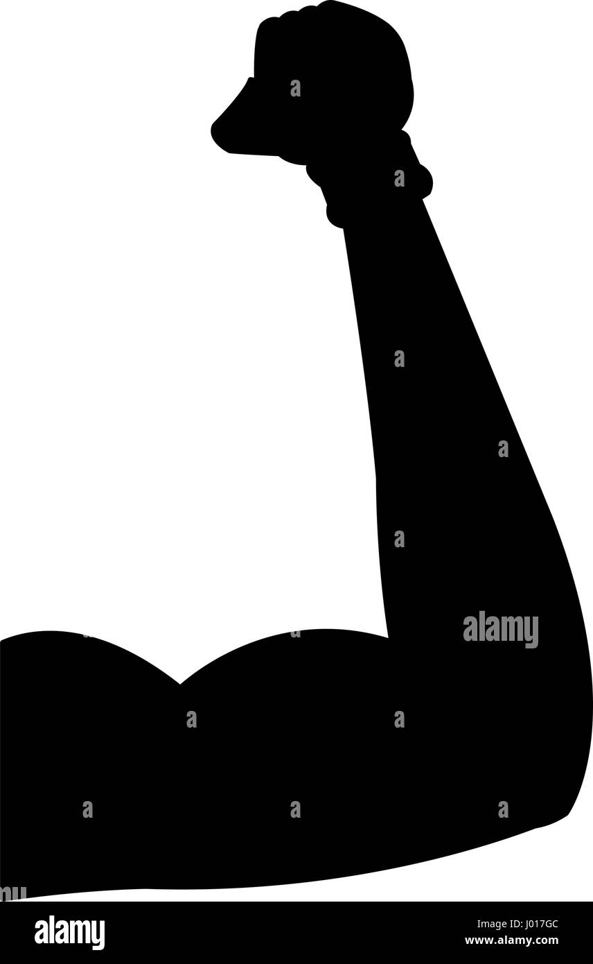 muscular arm flexing sport icon image Stock Vector Image & Art Alamy