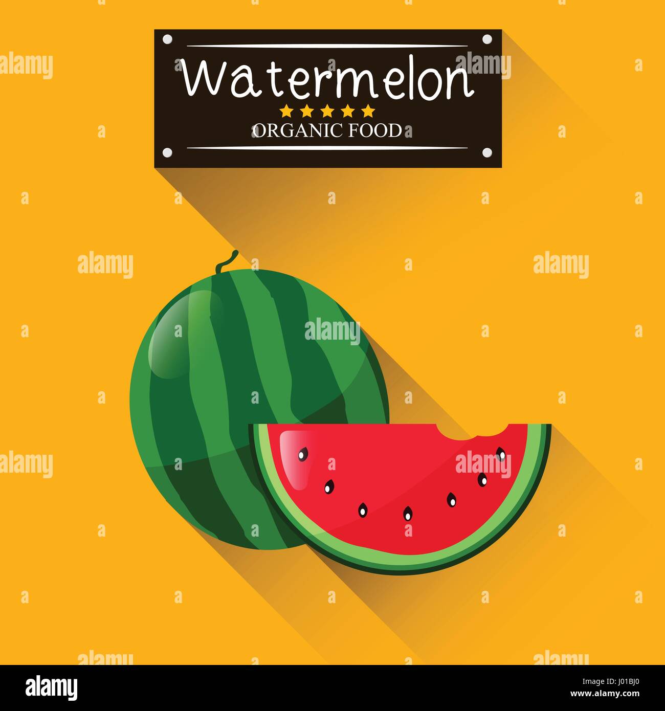 Watermelon summer fruit Stock Vector