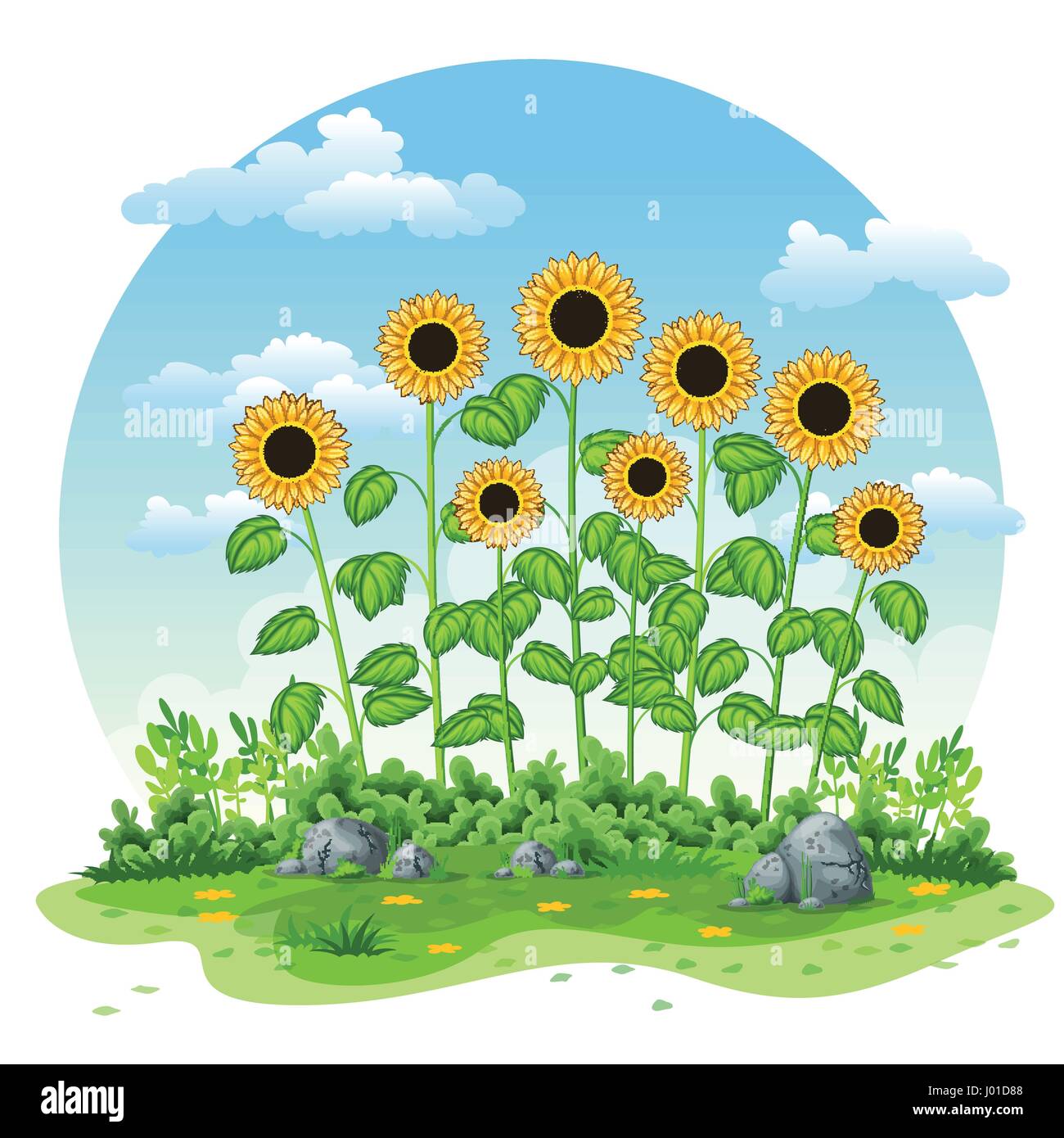 Illustration of an landscape with sunflowers Stock Vector Image & Art ...