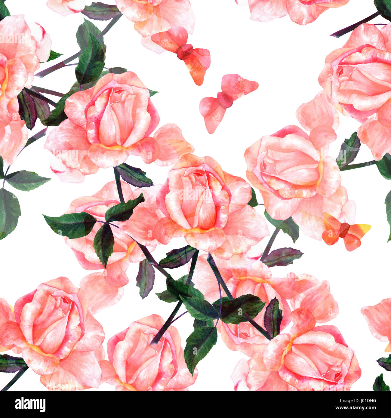 A Seamless Pattern With A Watercolor Drawing Of A Blooming Pink Rose Stock Photo Alamy Log in sign up watercolor pink roses. https www alamy com stock photo a seamless pattern with a watercolor drawing of a blooming pink rose 137715580 html