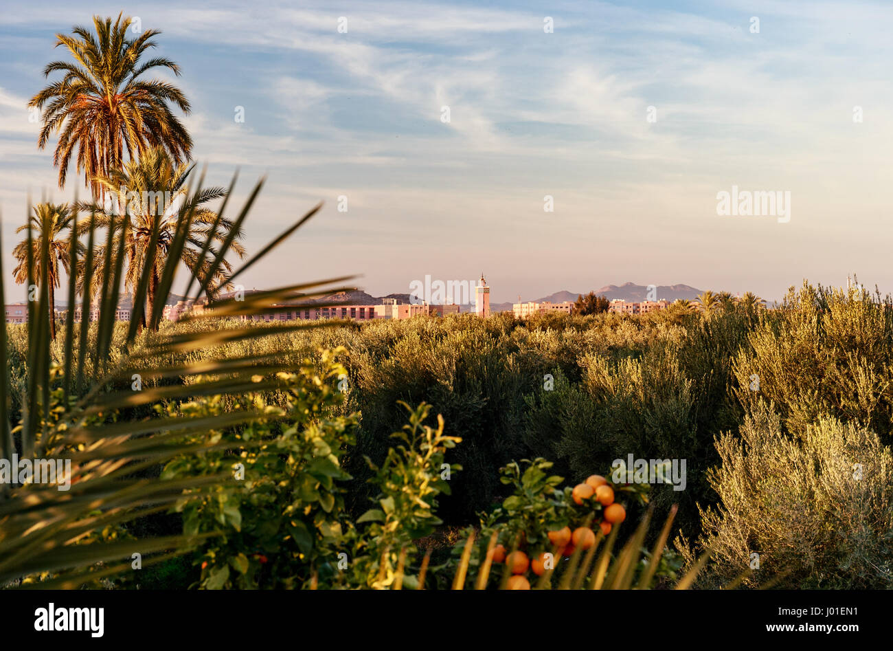 Marrakesh with it's enigmatic Koutoubia Minaret (Morocco) Stock Photo