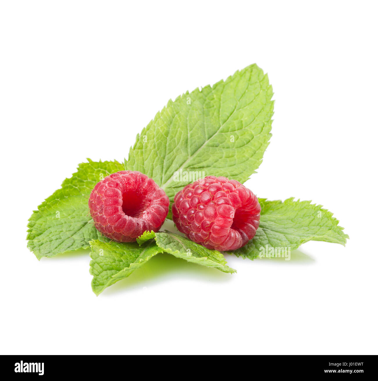 Raspberries and mint leaves on a white background. Isolated Stock Photo ...