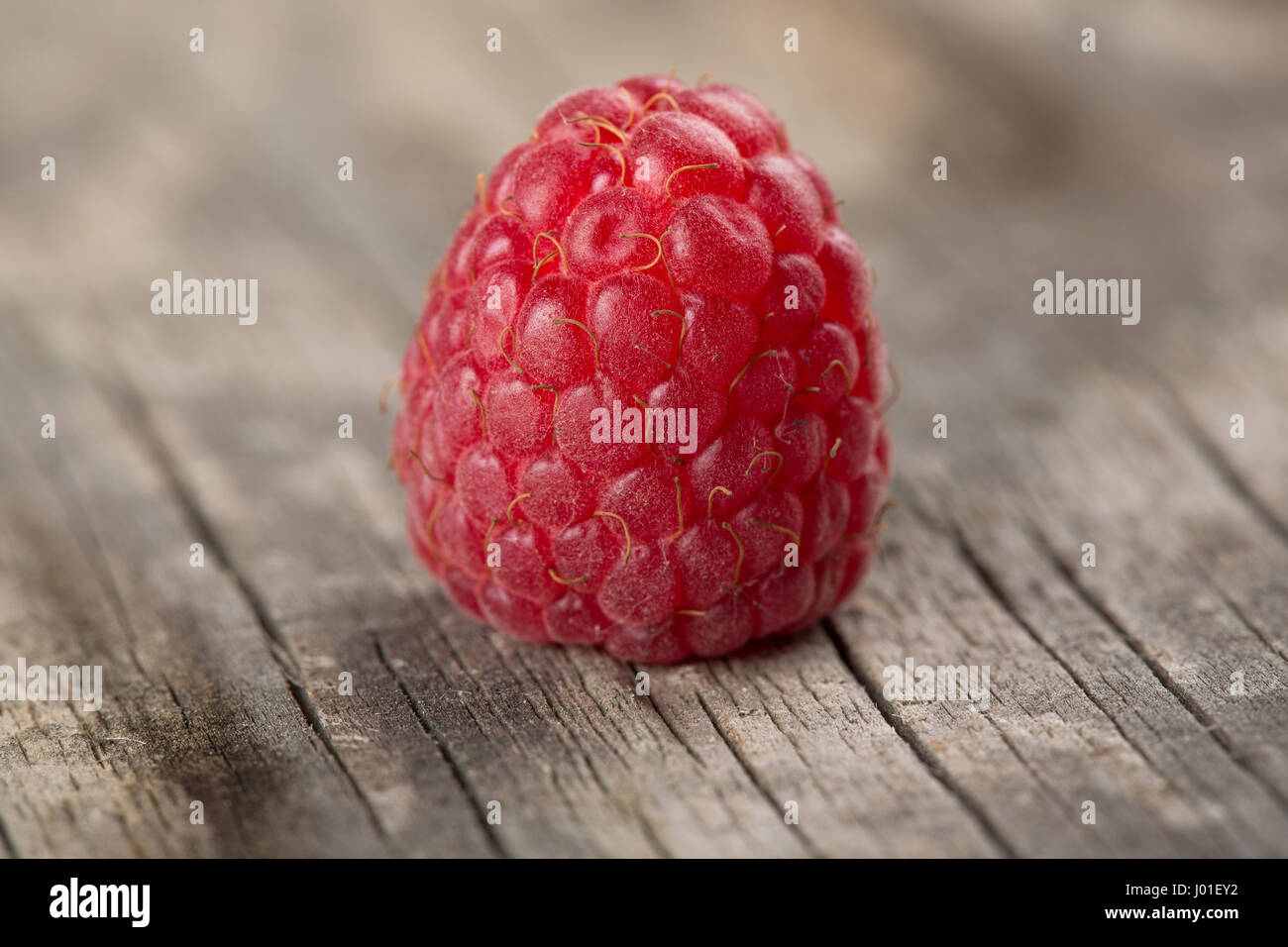 One Raspberry On A Table Raspberry on the old a wooden table Stock Photo - Alamy