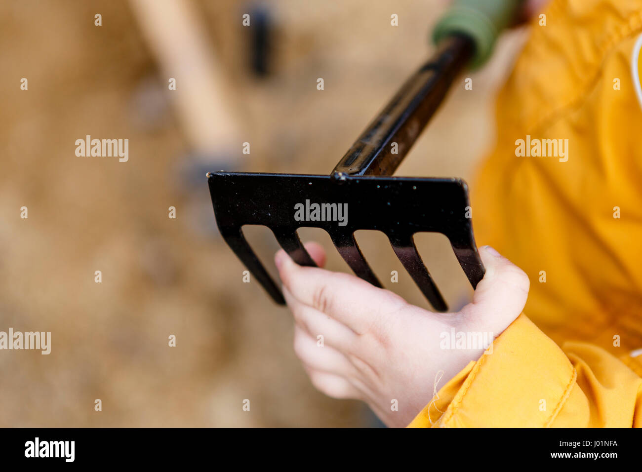 young boy play with rake - outdoors, yard Stock Photo - Alamy