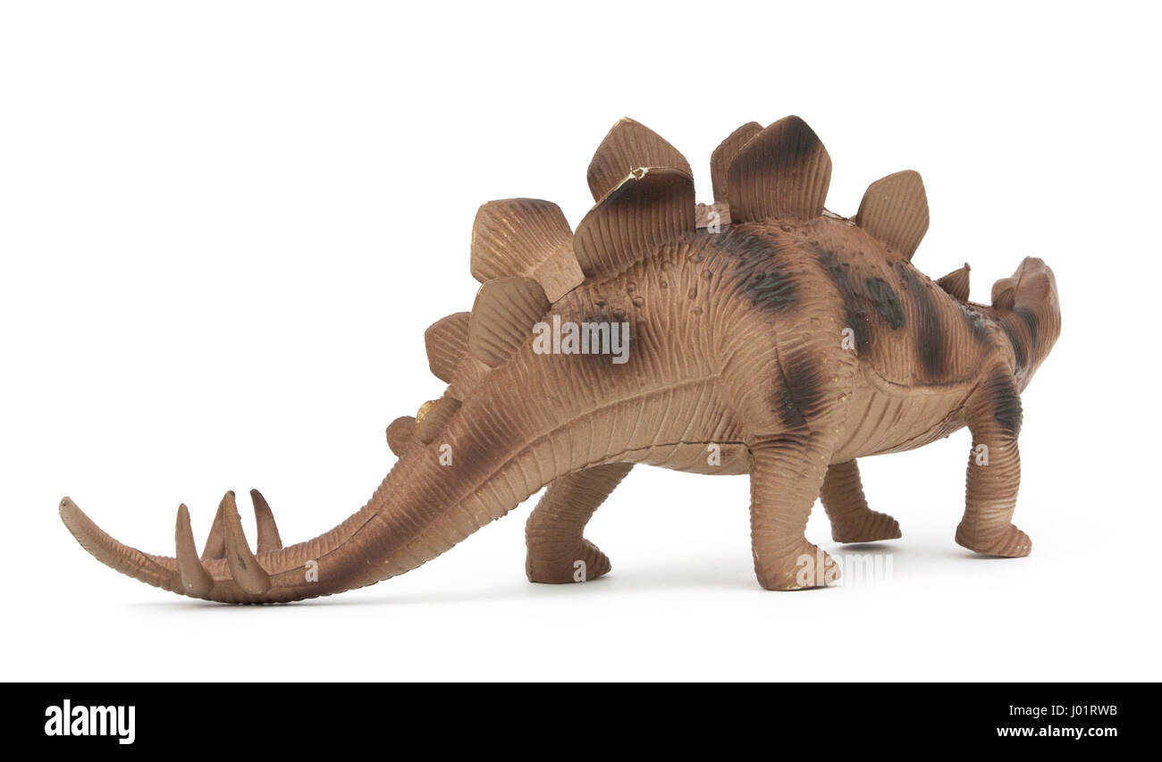 Stegosaurus dinosaur isolated on white background Stock Photo - Alamy