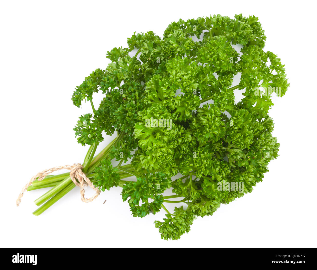 fresh green parsley isolated on white background Stock Photo - Alamy