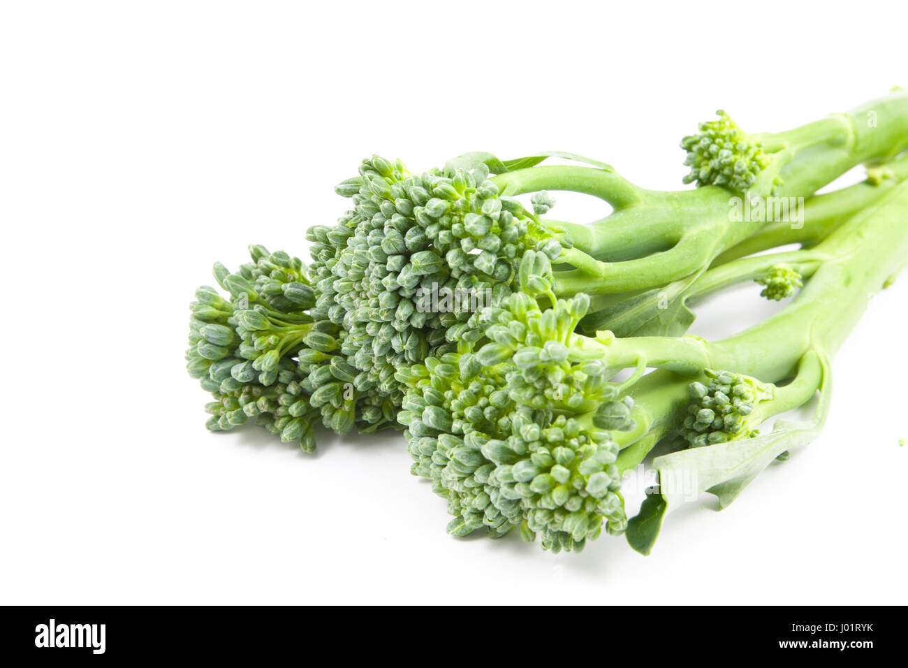 broccolini baby broccoli isolated on white Stock Photo - Alamy