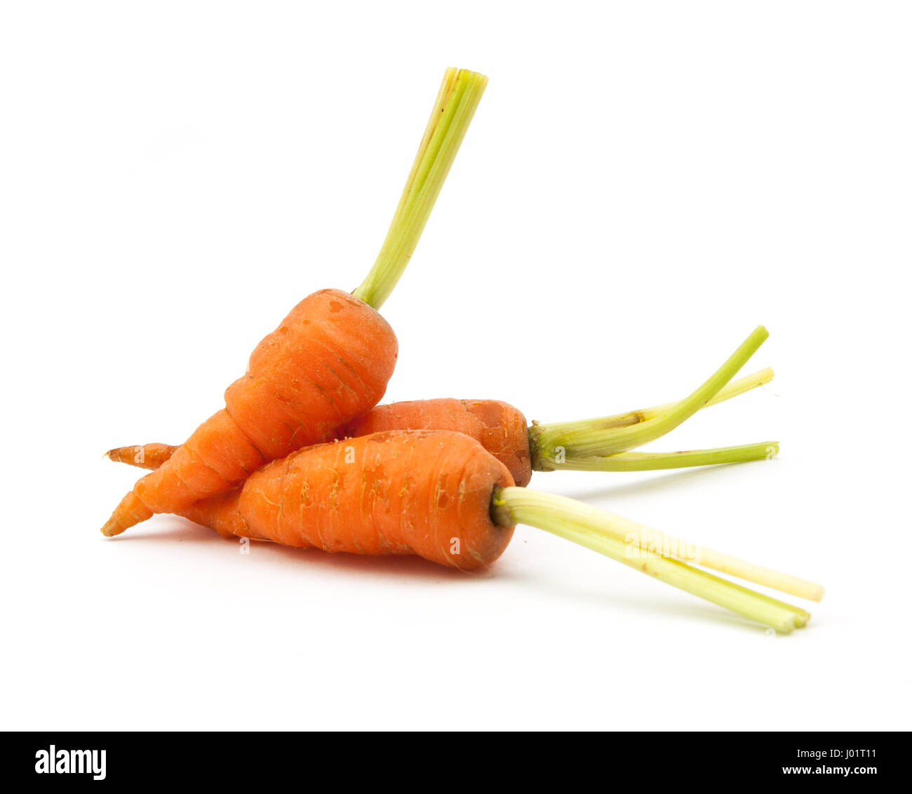 baby carrot immature carrot on white background Stock Photo Alamy