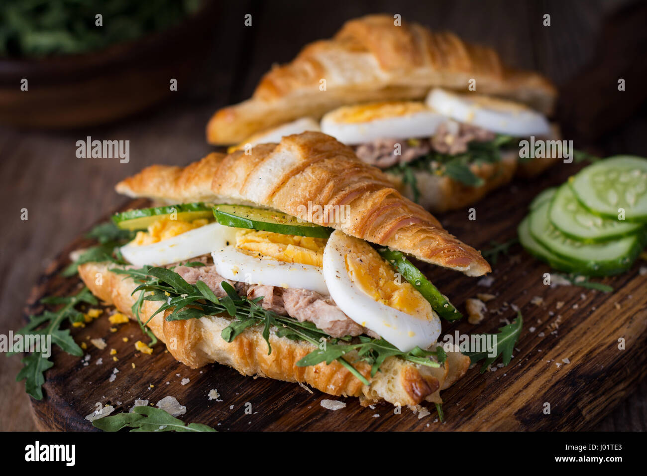 Tuna salad sandwiches with fresh cucumber, hard boiled egg and arugula
