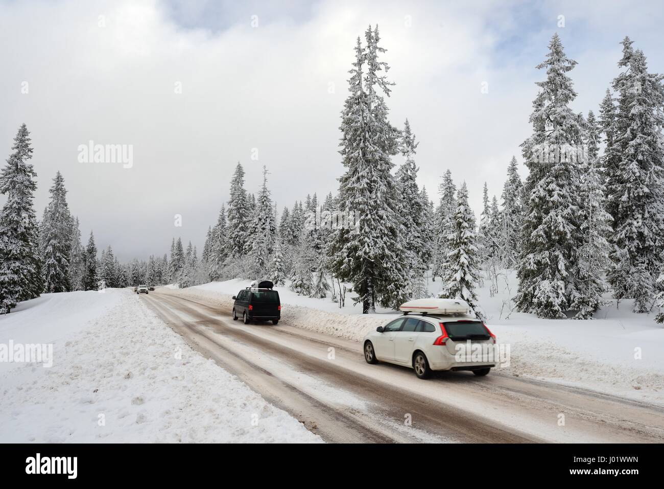Road through a Winter Wonderland Stock Photo Alamy