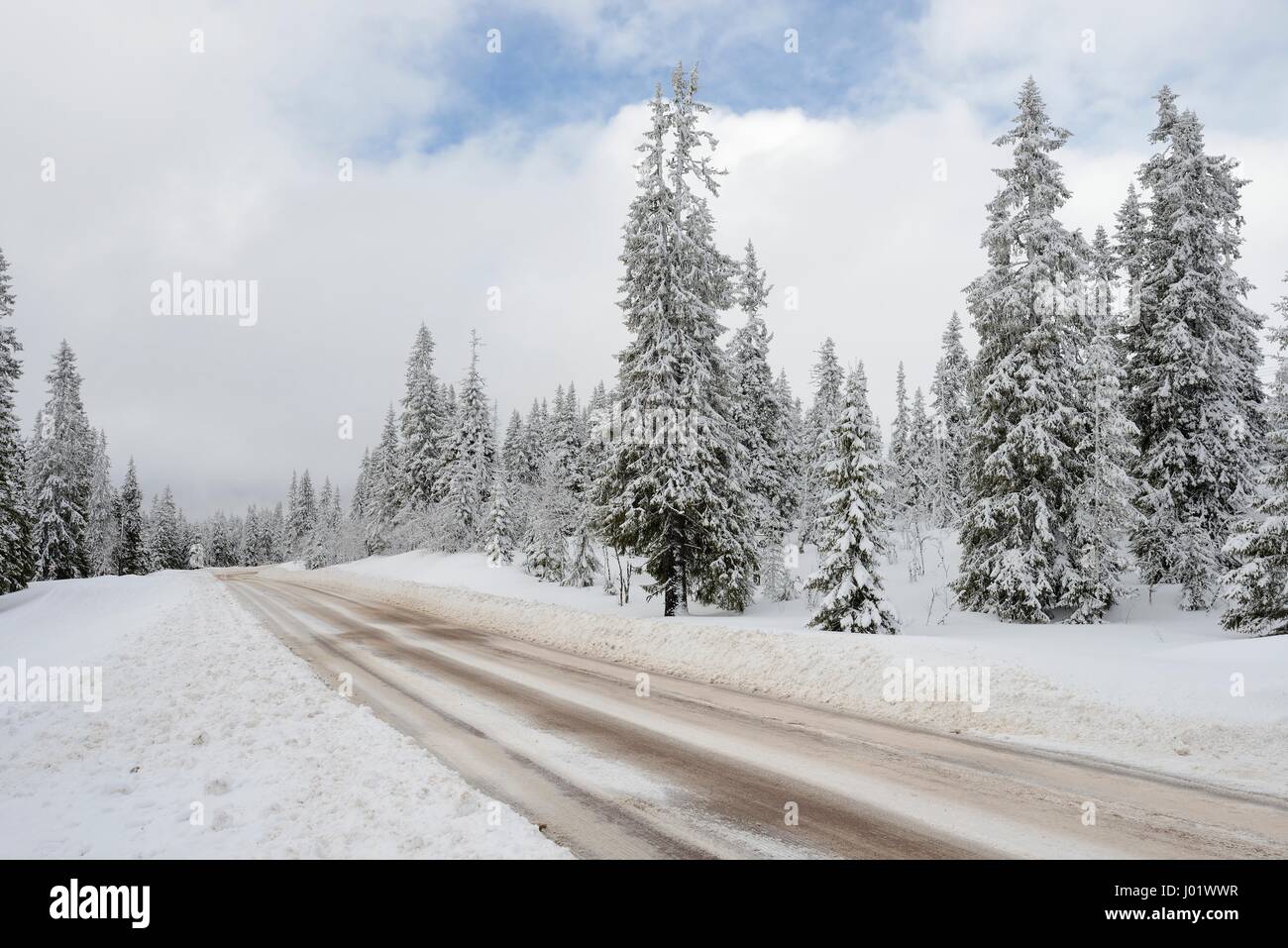 Road through a Winter Wonderland Stock Photo Alamy