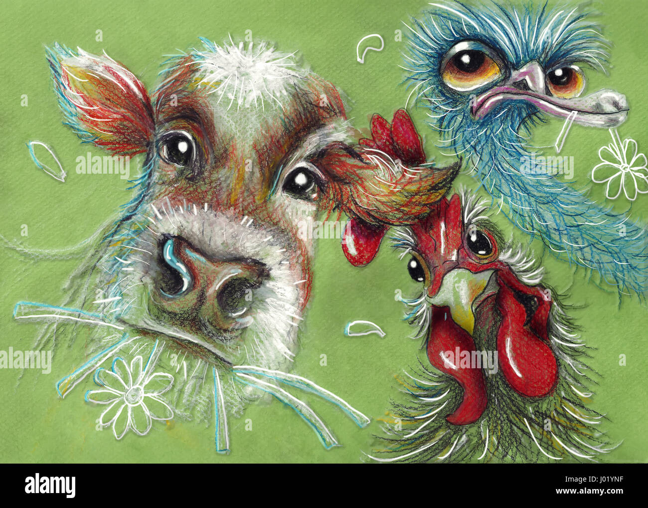 Cow, rooster and ostrich by Pencil drawing. Stock Photo