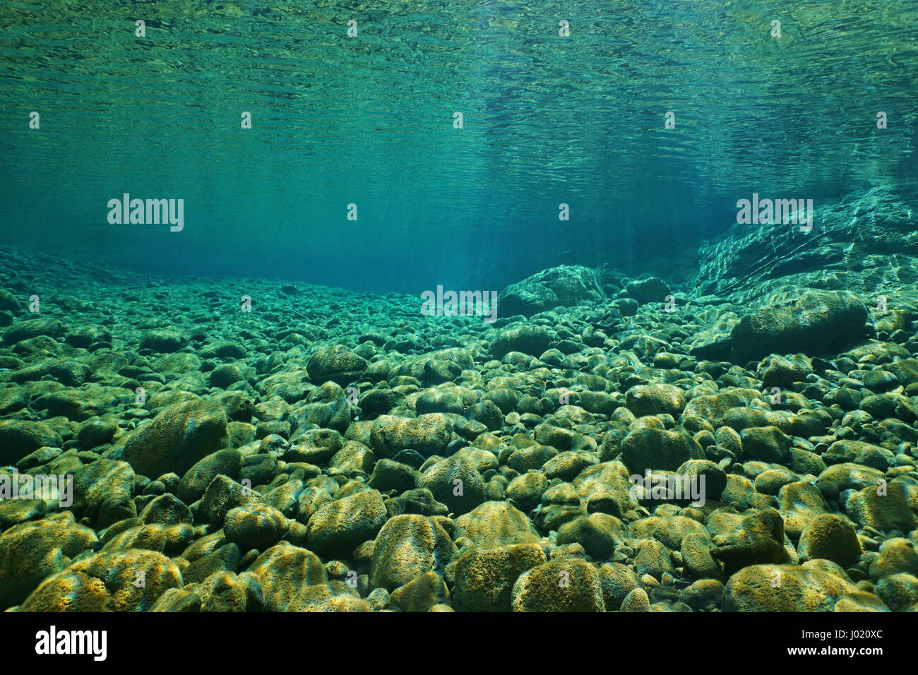 River underwater,  pebbles on the riverbed with clear water, natural scene, Dumbea, New Caledonia, south Pacific Stock Photo