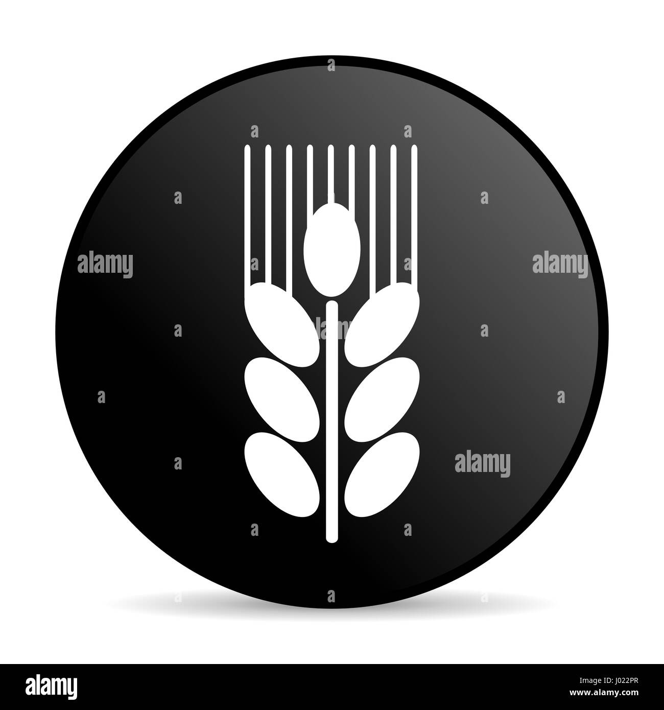 Ear Of Wheat Logo Black and White Stock Photos & Images - Alamy