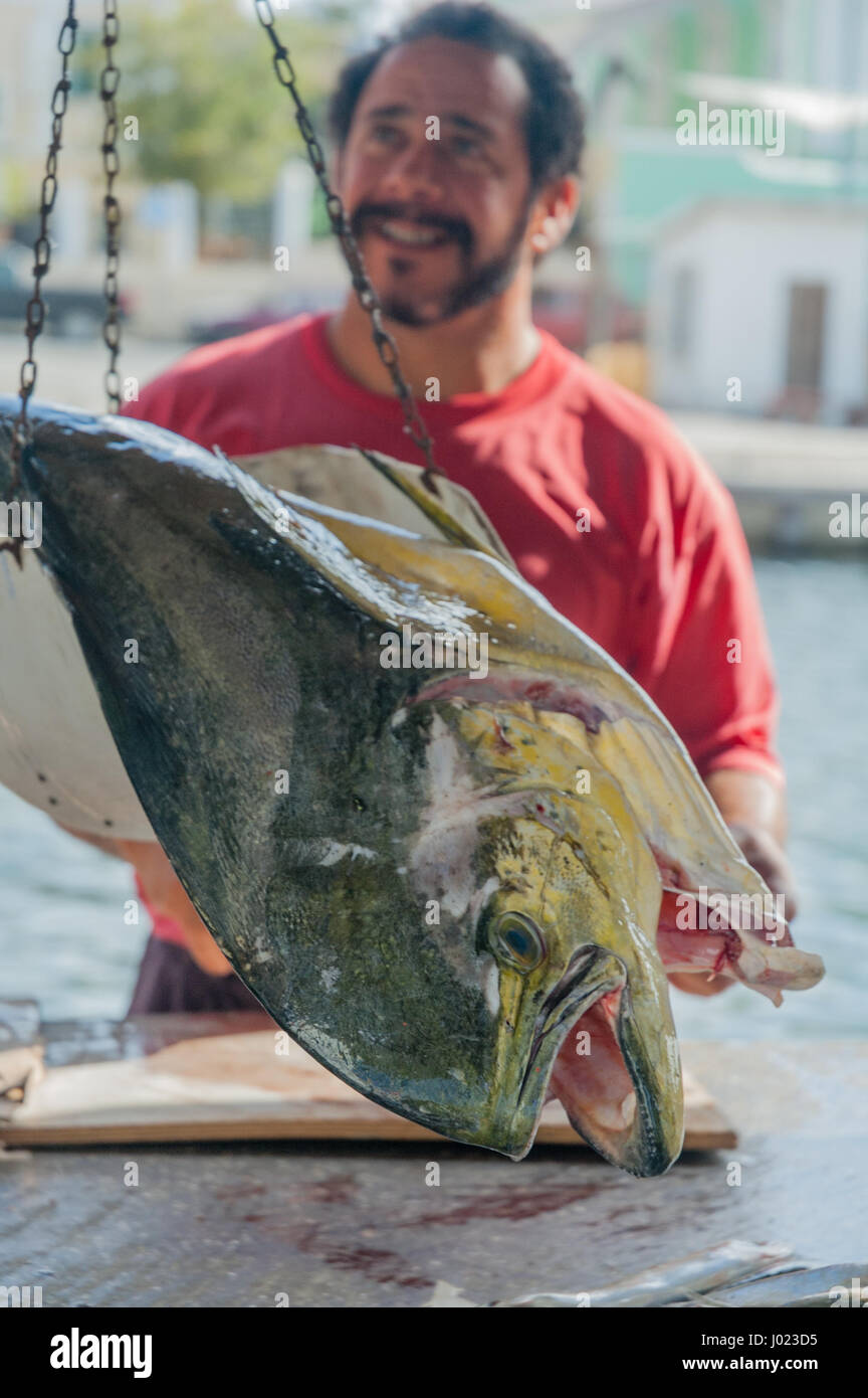 Floating fish market in Willemstad (Curacao Stock Photo Alamy