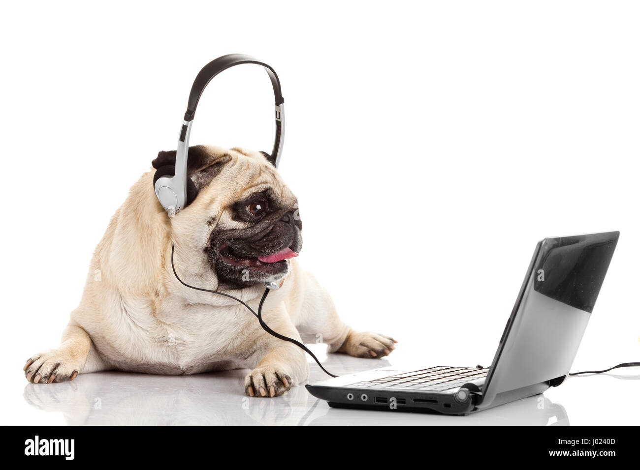 Phone operator funny hi-res stock photography and images - Alamy