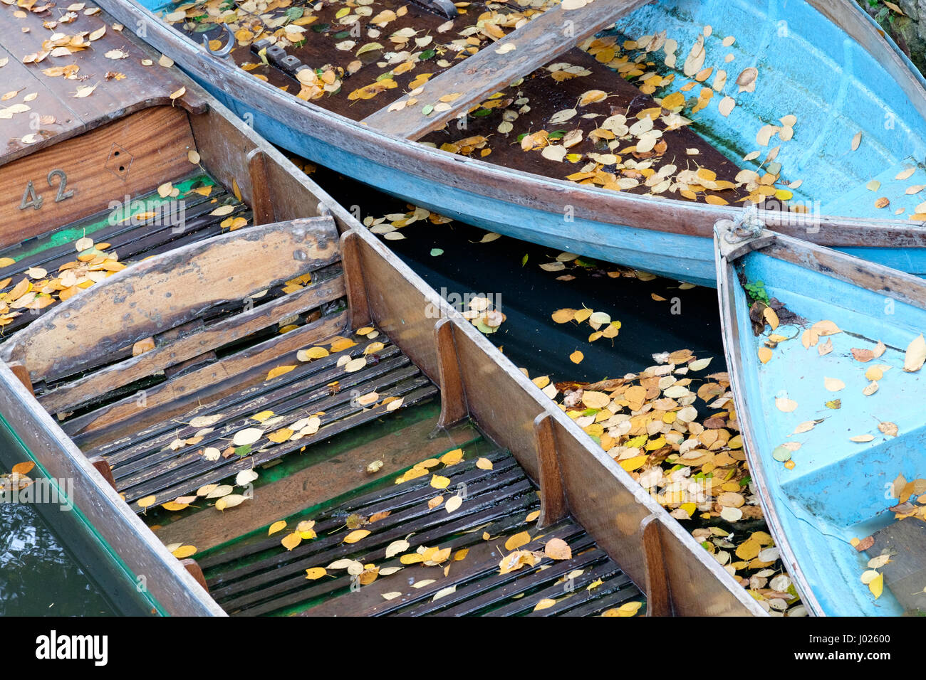 Autumn scene of punts moored on the river Cherwell in Oxford city centre with fallen autumn leaves Stock Photo