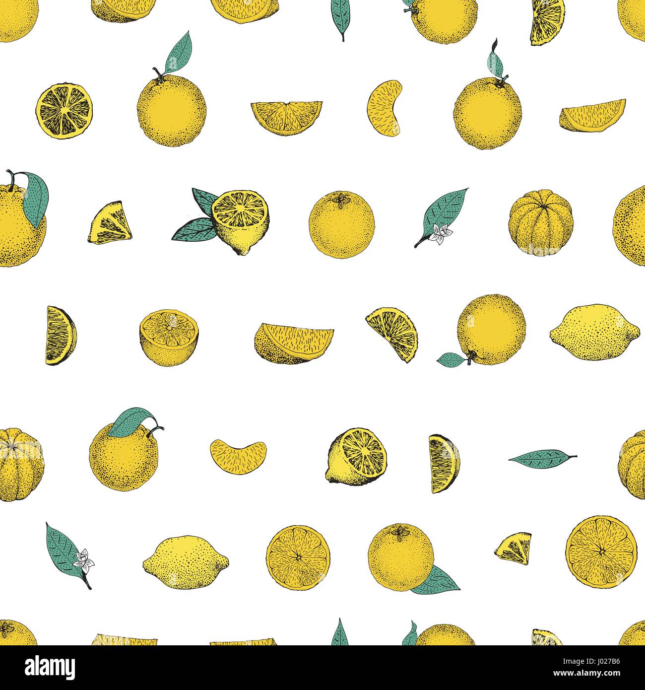 Seamless pattern of hand drawn oranges and slices in sketch style ...