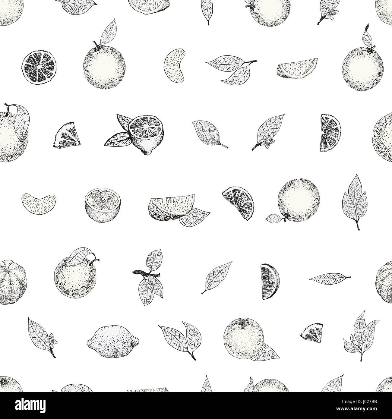 Seamless pattern of hand drawn oranges and slices in sketch style ...