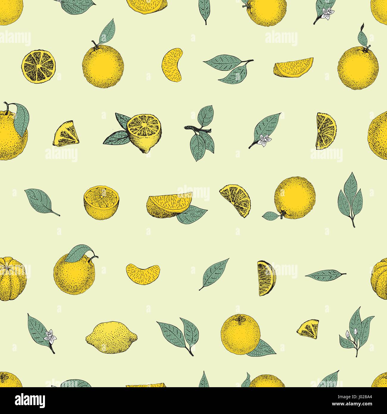 Seamless pattern of hand drawn oranges and slices in sketch style ...
