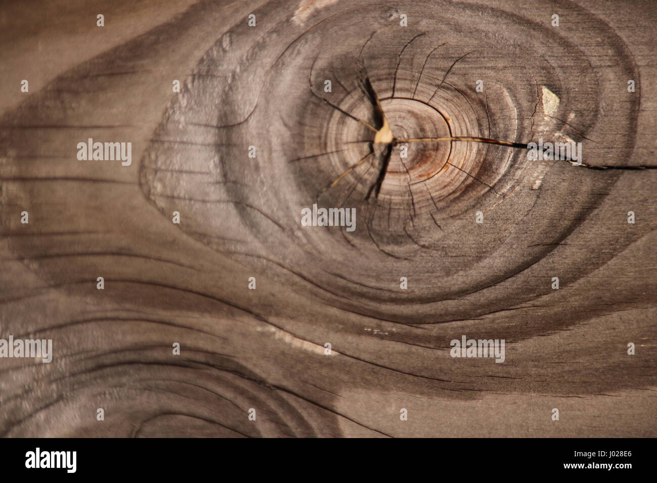 wood structure with knothole Stock Photo