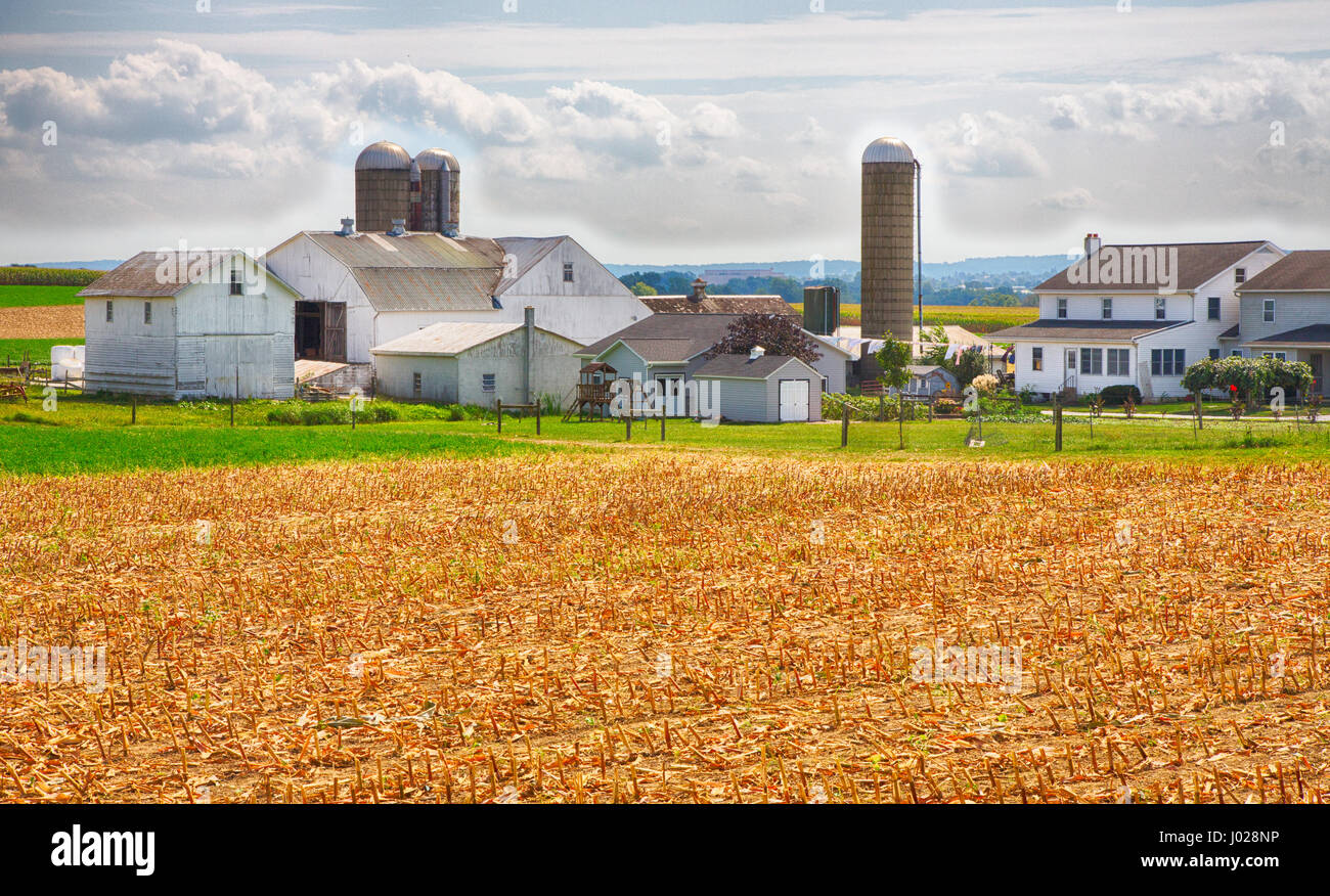 Farms in Amish Country Lancaster, Pennsylvania during the harvest. Stock Photo