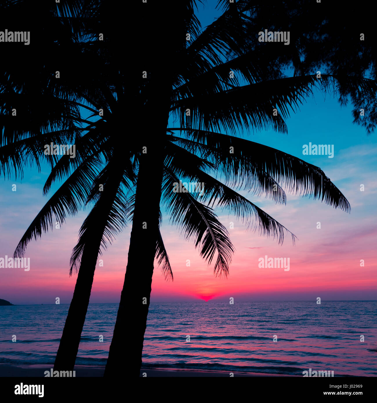 sunset on the beach Stock Photo - Alamy