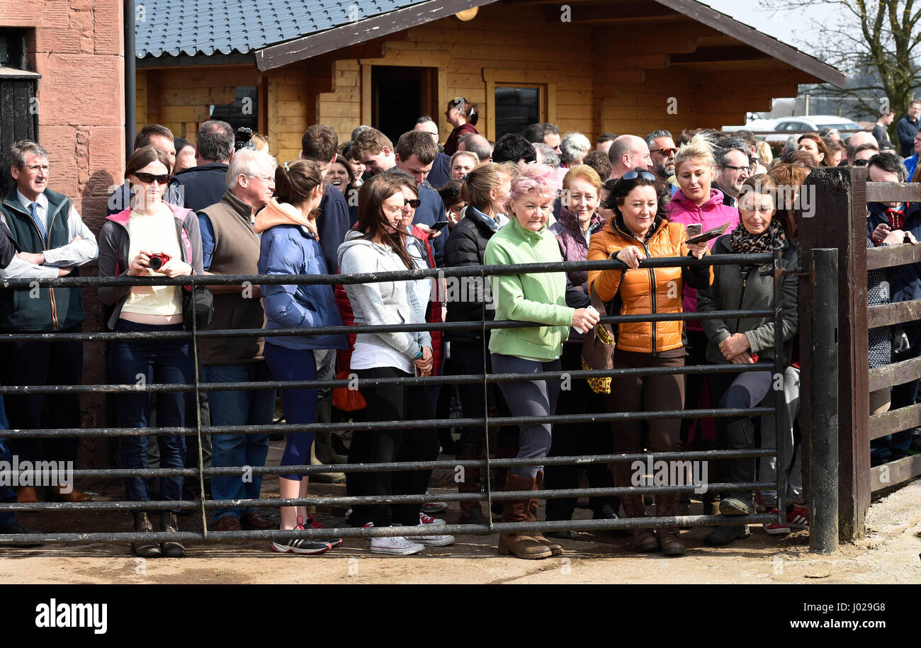 Crowds gather to see Grand National winner One For Arthur at trainer Lucinda Russell's yard in Kinross, Scotland. Stock Photo