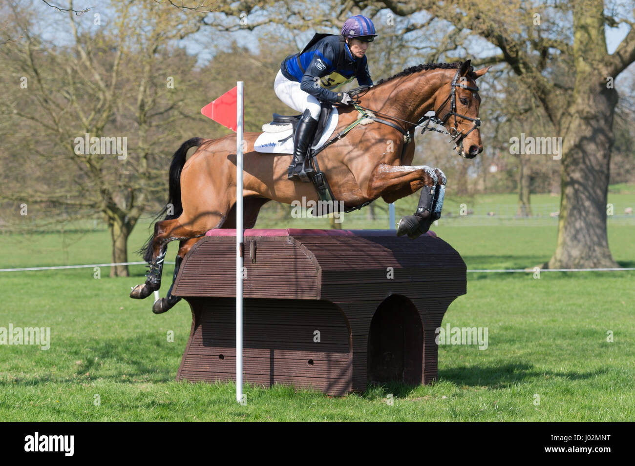 Weston Under Lizard, Shifnal, UK. 09th Apr, 2017. The Weston Park Horse Trials, Weston Park, Shiffnal, Zara Tindall and her horse High Kingdom take part in the cross country phase of the Advanced Class which they went on to win. The object of the Cross Country test is to prove the speed, endurance and jumping ability of the horse . At the same time, it demonstrates the rider's knowledge of pace and the use of this horse across country. Credit: Trevor Holt/Alamy Live News Stock Photo