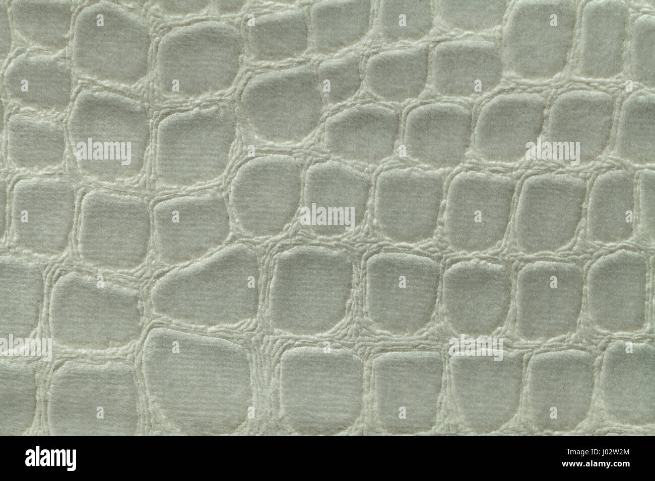 Vintage Green Crocodile Skin Texture Stock Photo, Picture And Royalty Free  Image. Image 13880261.