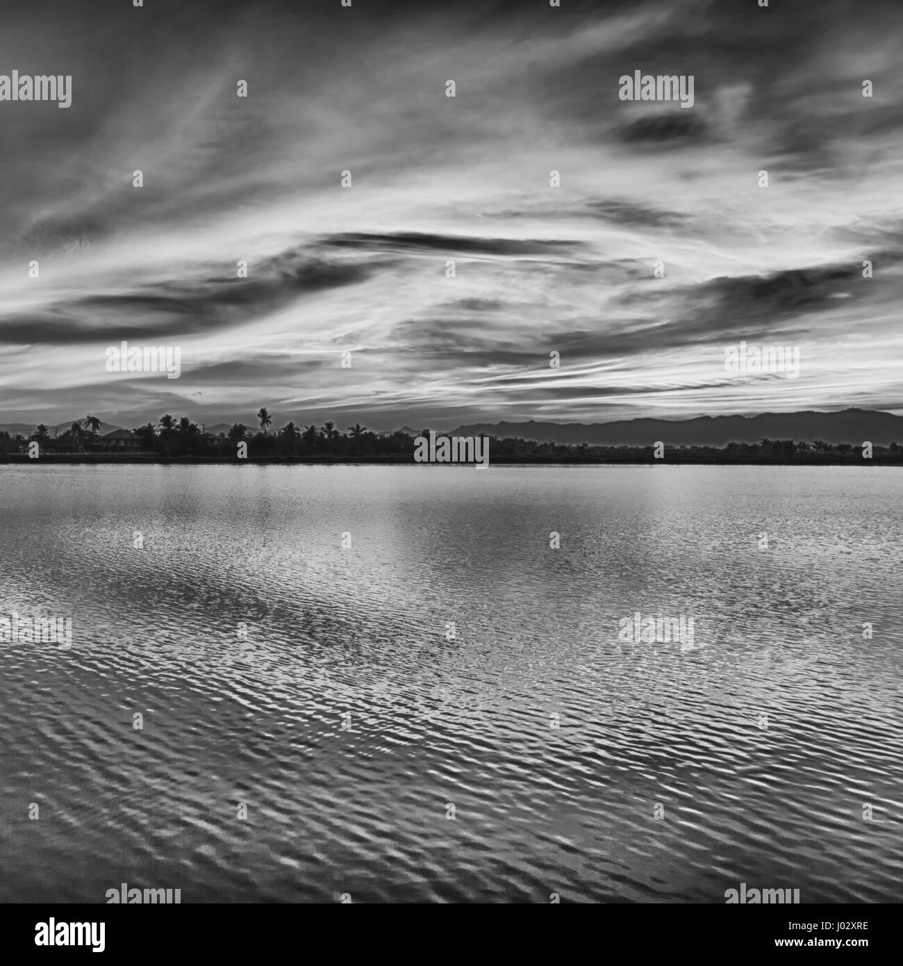Bush sunrise with silhouette Black and White Stock Photos & Images - Alamy