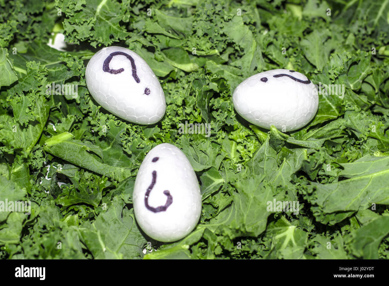 Close up of fresh leaves of kale cabbage with question mark eggs Stock ...