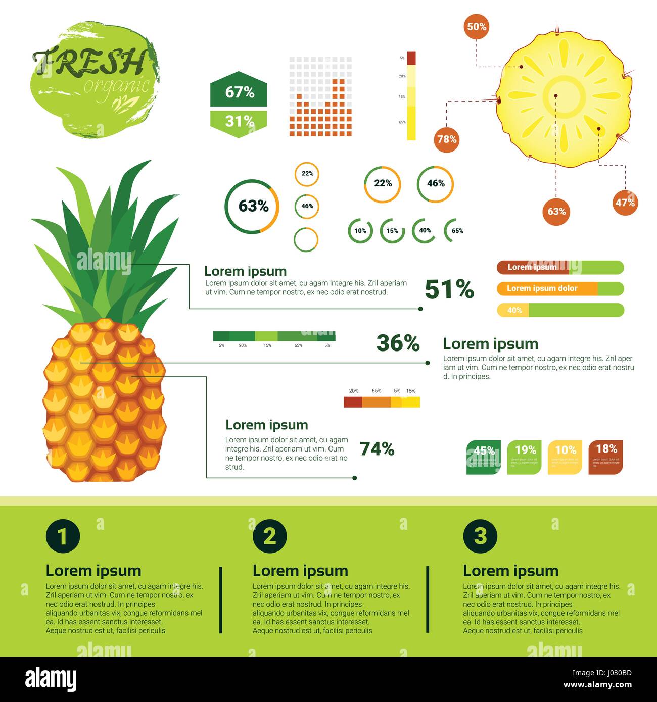 Fresh Organic Infographics Natural Fruits Growth, Agriculture And Farming Stock Vector Image