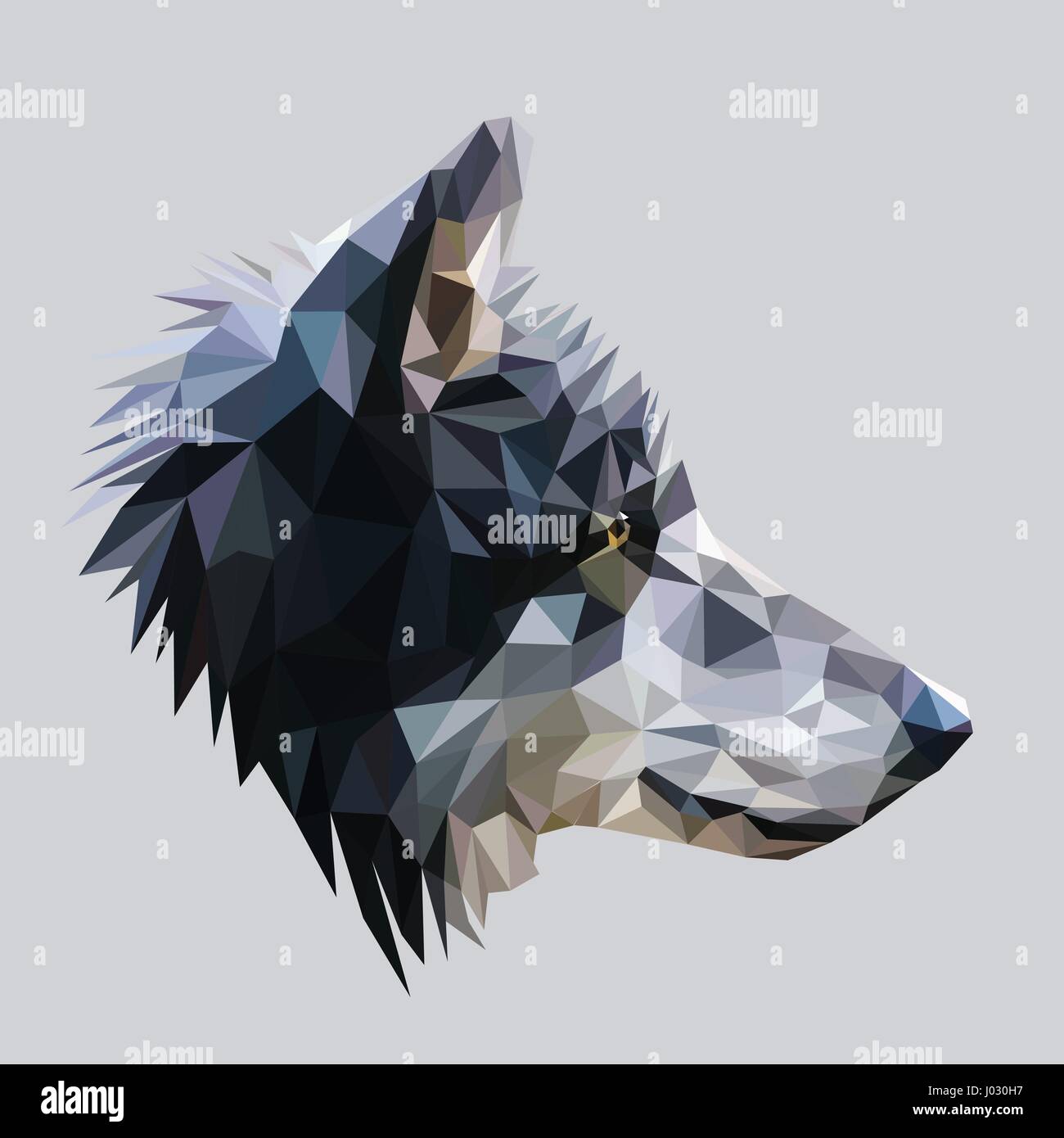 Wolf low poly design. Triangle vector illustration Stock Vector Image