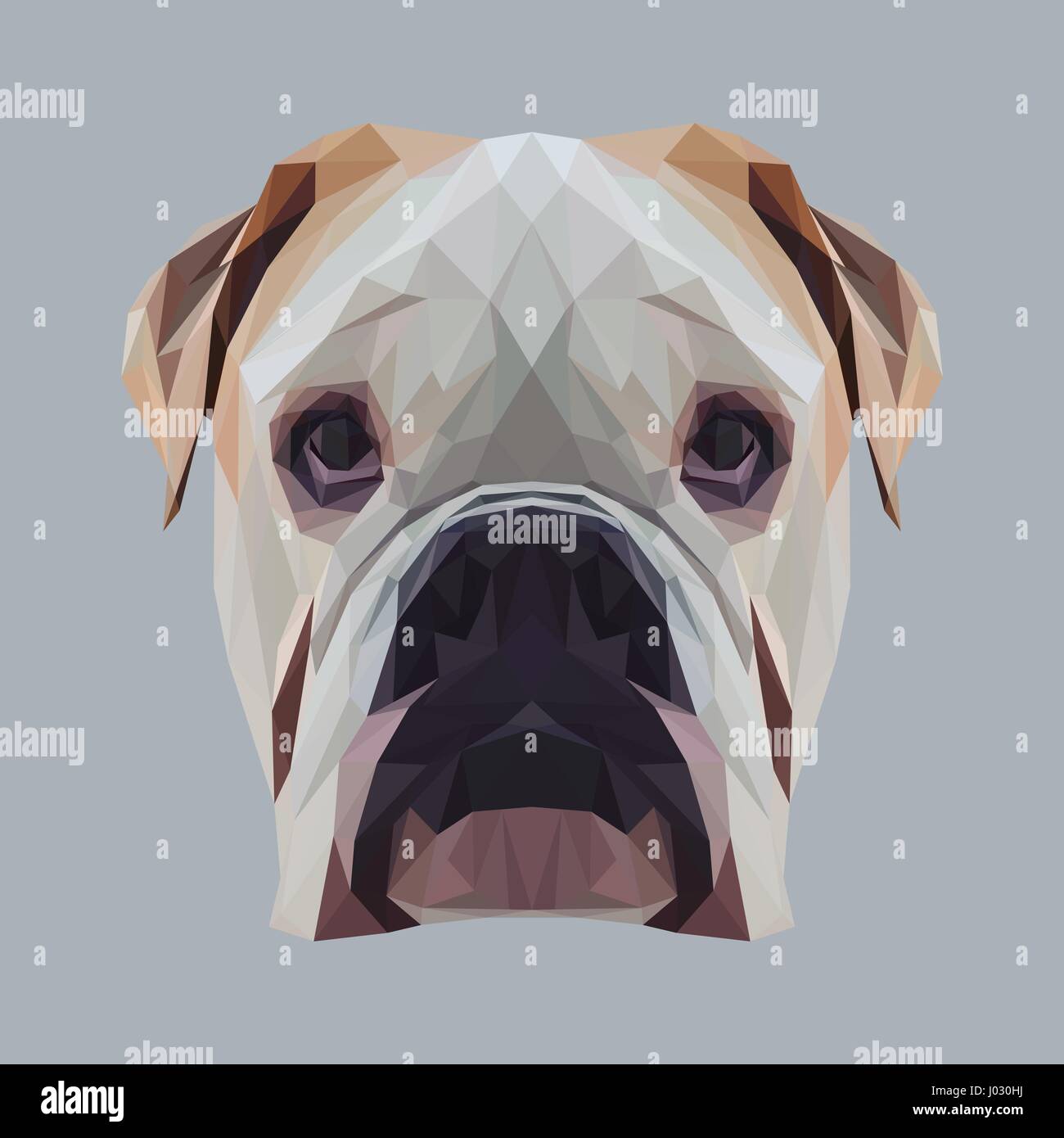 English bulldog dog animal low poly design. Triangle vector illustration. Stock Vector