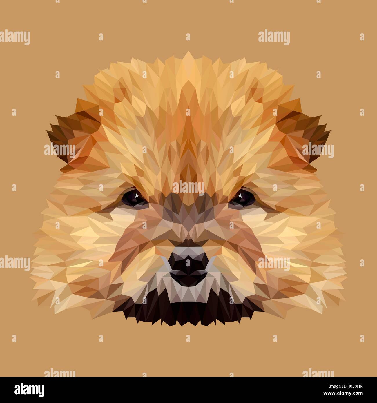Chow chow best sale art