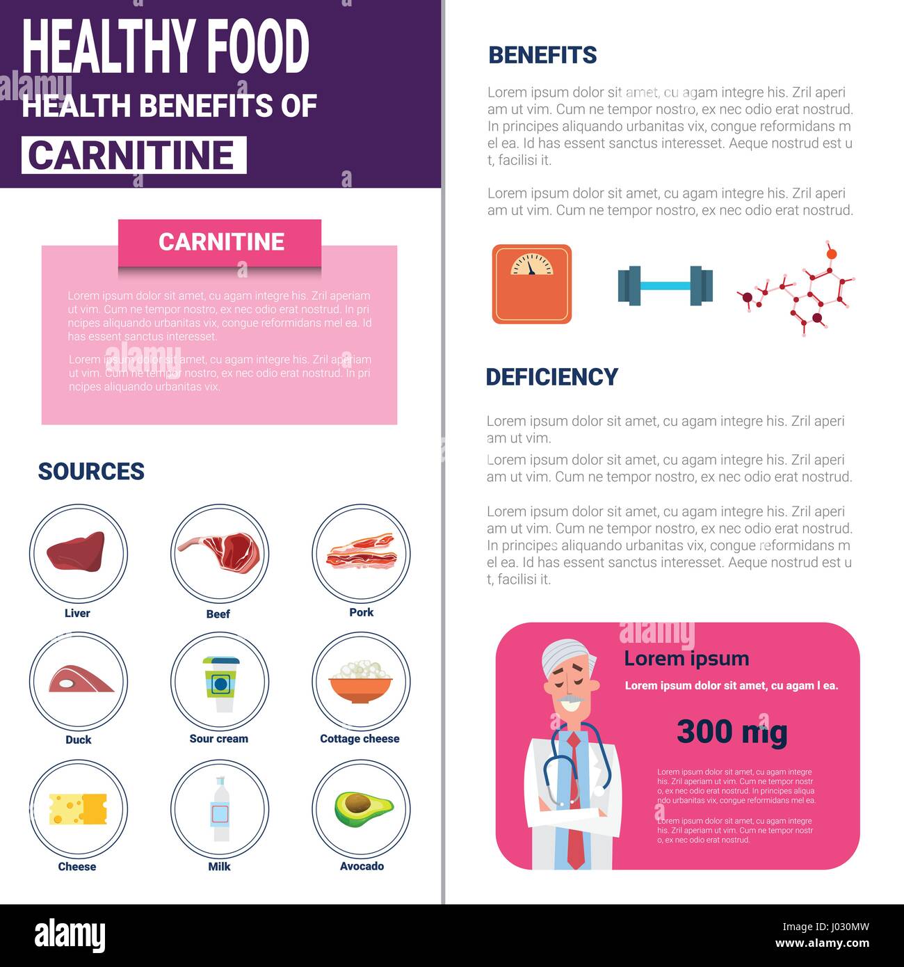 l carnitina propiedades Healthy food infographics hi-res stock photography and images - Page 17