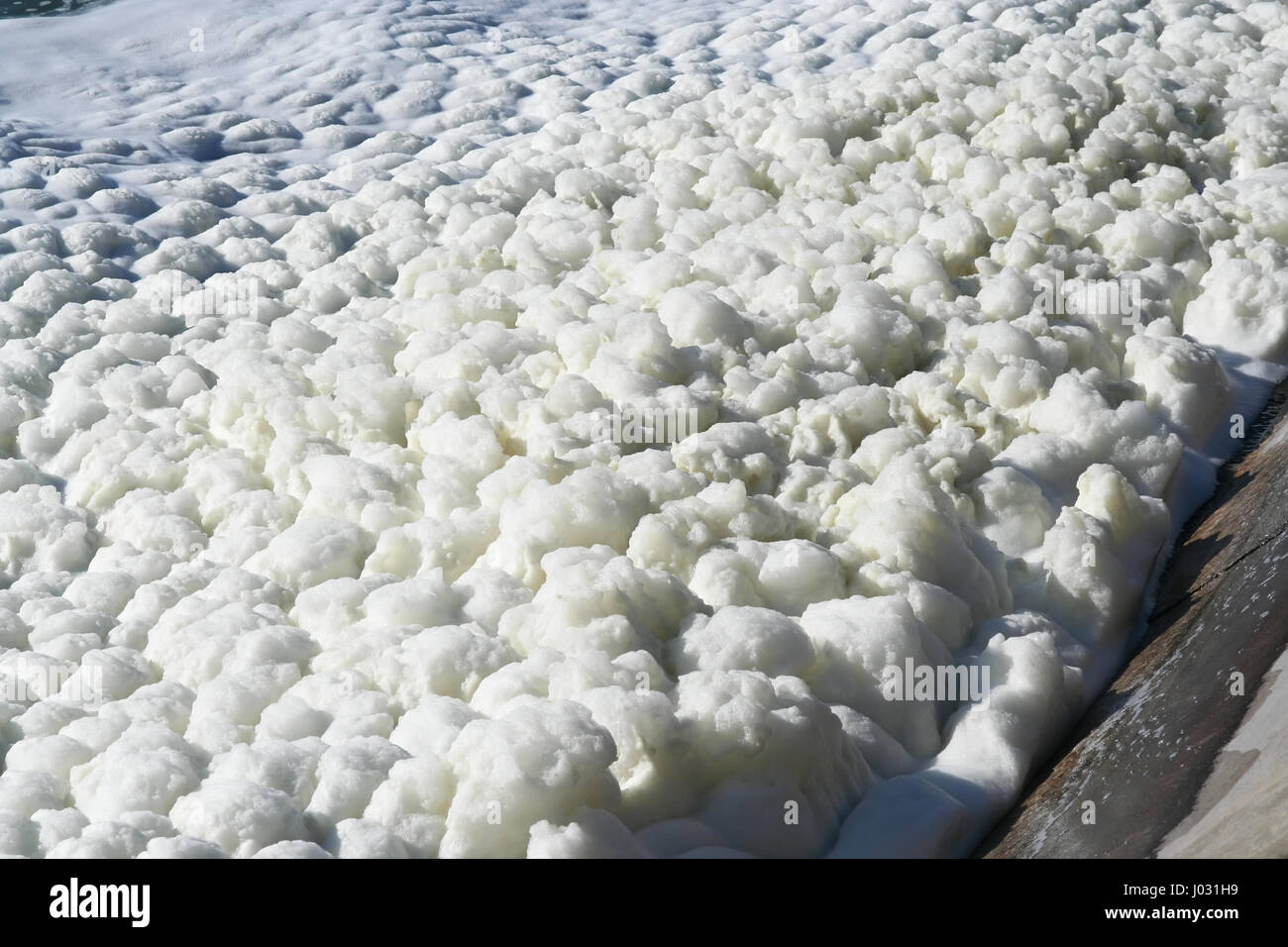 Foam on the Lake water. Dirt foam on the lake Stock Photo Alamy