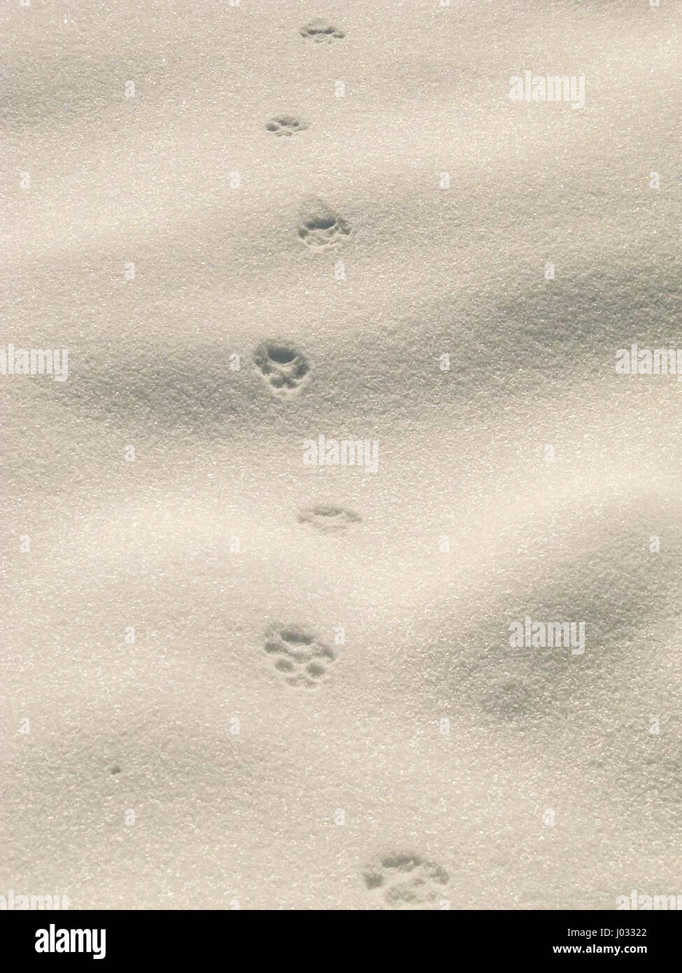 Cat paw print imprint hires stock photography and images Alamy