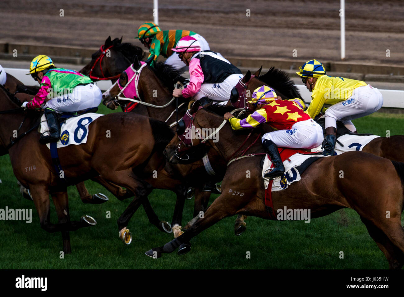 Hong Kong horse racing Stock Photo Alamy