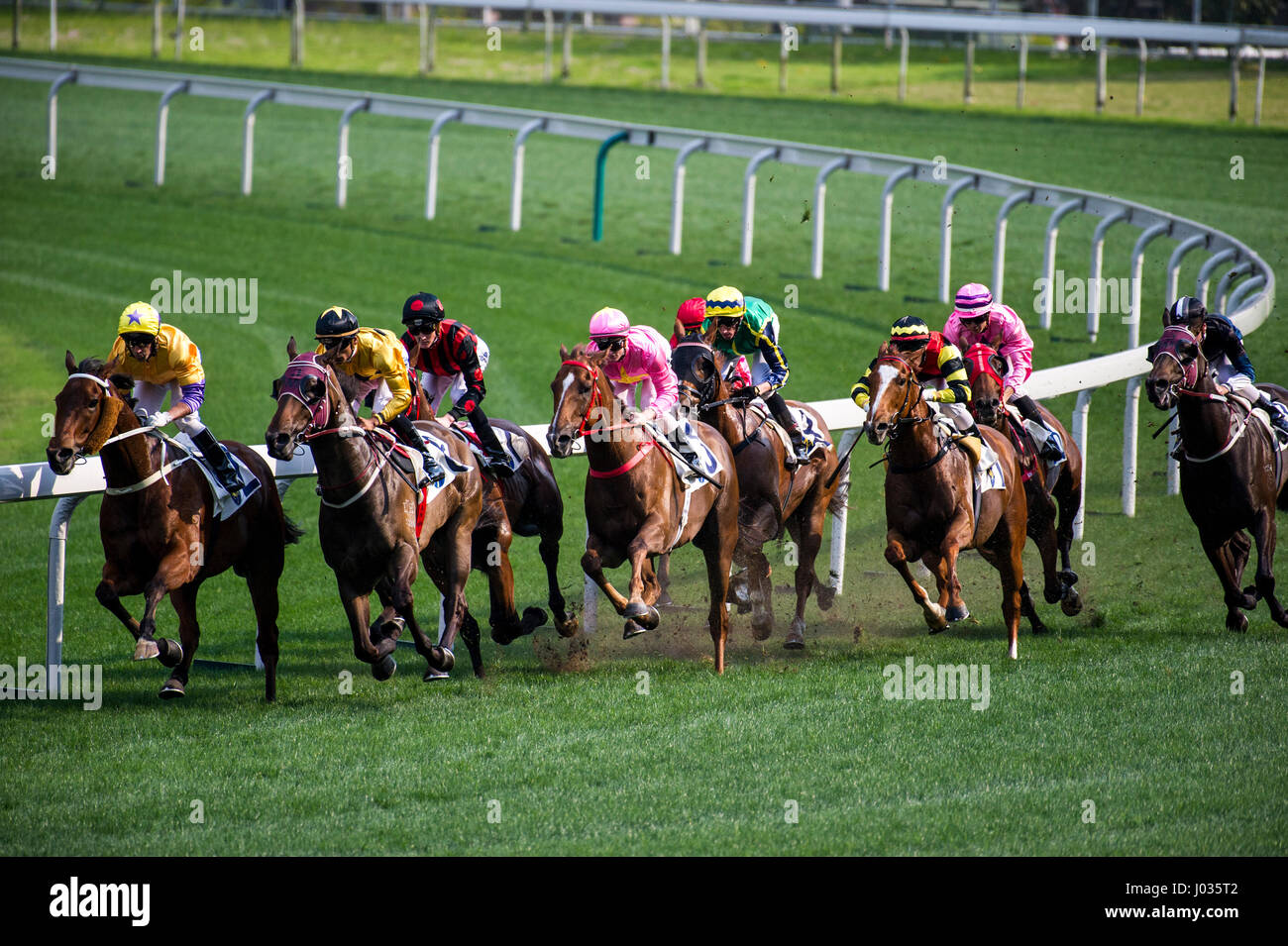 Hong Kong Horse Racing High Resolution Stock Photography And Images Alamy