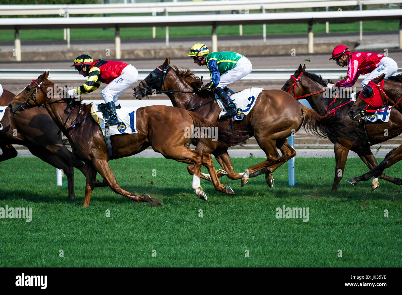 Hong Kong horse racing Stock Photo
