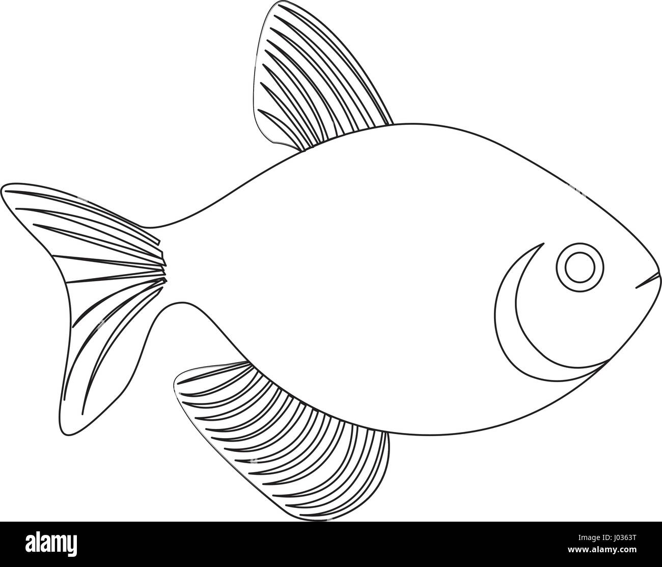 Silhouette Fish Aquatic Animal Icon Flat Stock Vector Image Art Alamy