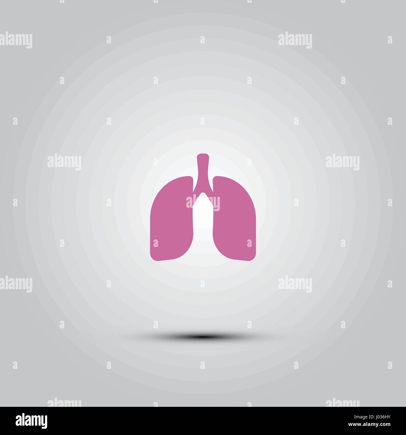 Vector isolated icons - human organs. Lungs on a white background Stock ...
